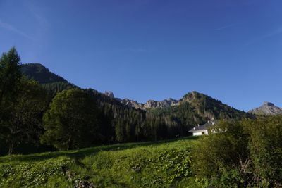 Green meadow and mountains on the ride west