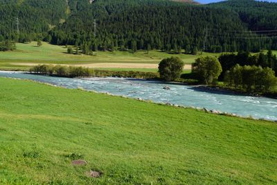 Green Engadin valley with a river through it
