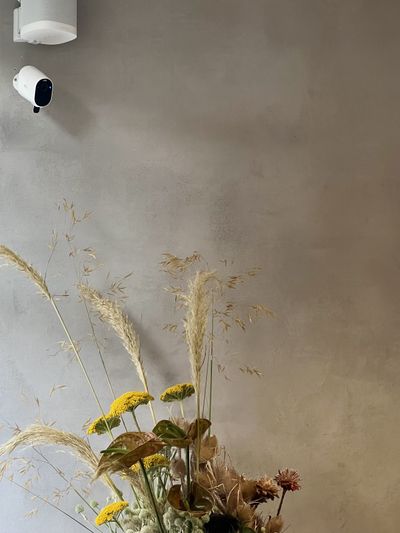 Amsterdam street scene