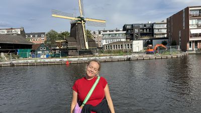 Flower market display