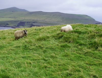 Northern lights over mountain range