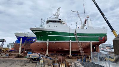 Coastal rock formations