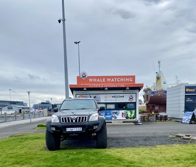 Geothermal area with steam