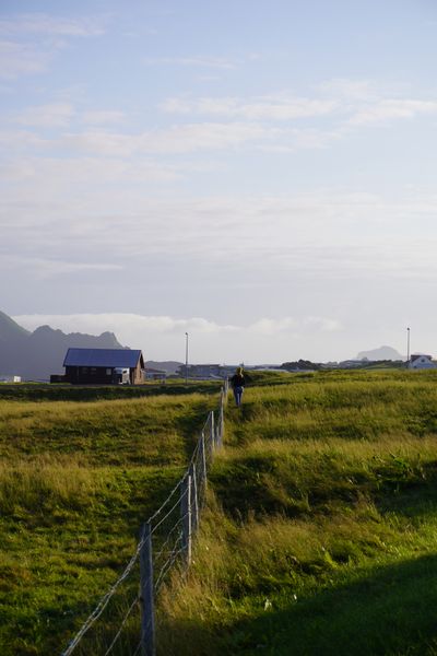 Coastal rock formations at sunset