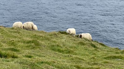 Geothermal area with steam