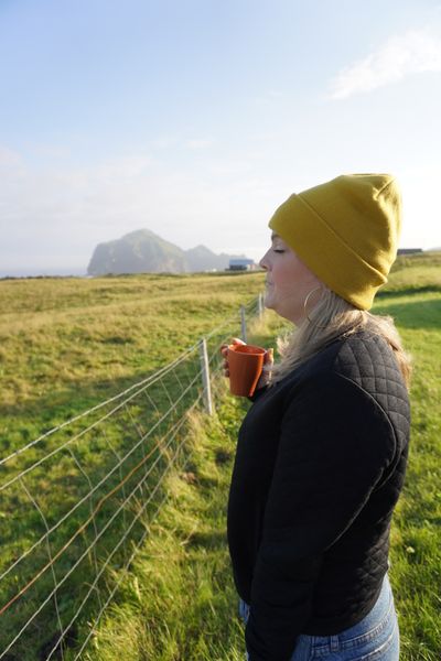 Arctic fox in natural habitat