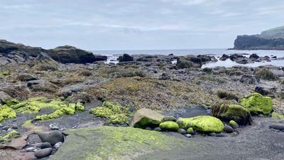 Northern lights over mountains