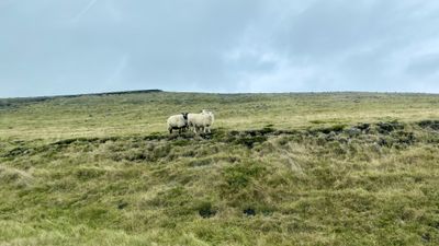 Coastal rock formations