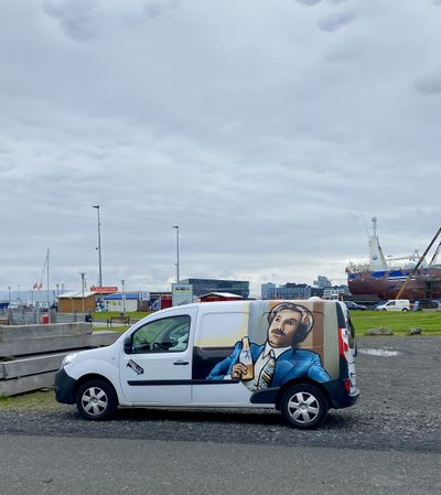 Moss-covered lava field