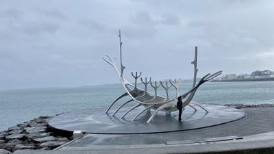 Puffin colony on coastal cliffs