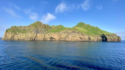 Coastal cliffs with seabirds