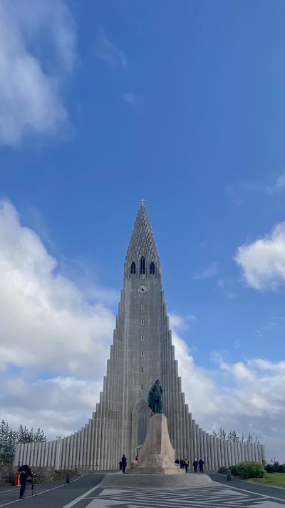Icelandic sheep in highland pasture