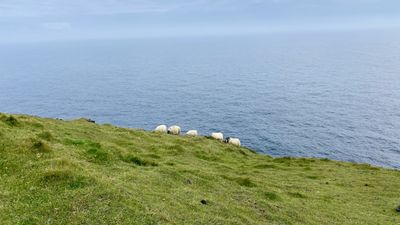 Glacial lagoon at sunset