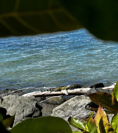 Beautiful beach landscape