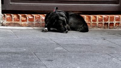 Sunset over the ocean