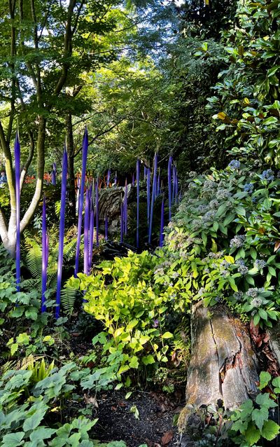 Large glass art installation