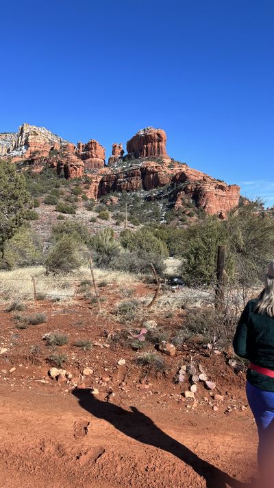 Sedona landscape with desert plants